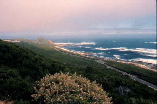Cape of Good Hope, South Africa