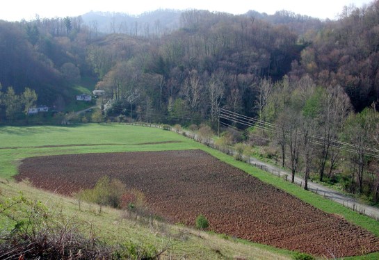 Ashe Co. plowed field
