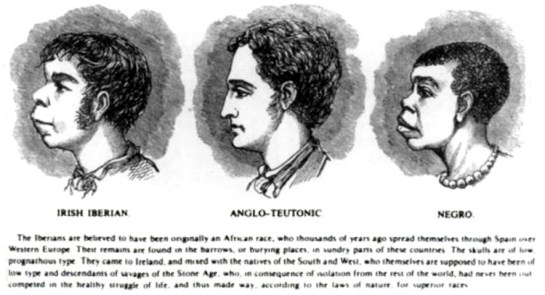 Irish negroes