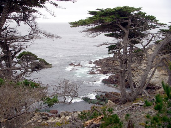 17-mile drive
