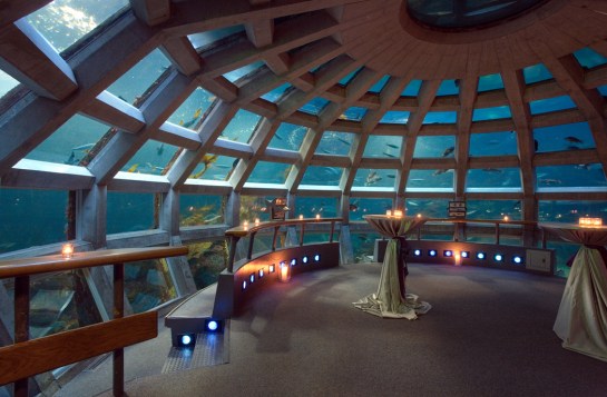 Aquarium big room