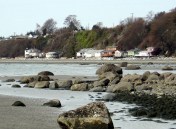 point roberts shoreline