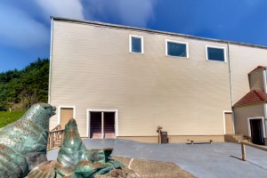 sea lion caves building