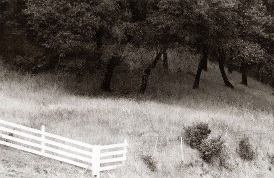 Sonoma Valley fence