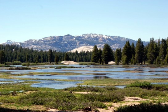 tuolumne meadows