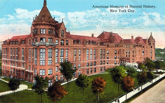 museum postcard