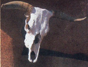 okeeffe ghost house at ghost ranch copy