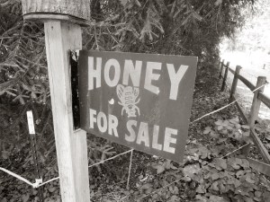 Honey for sale