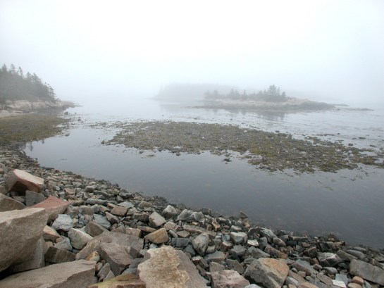 Schoodic Point, Acadia NP