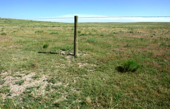 Pawnee fencepost