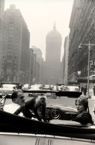 winogrand monkey in car
