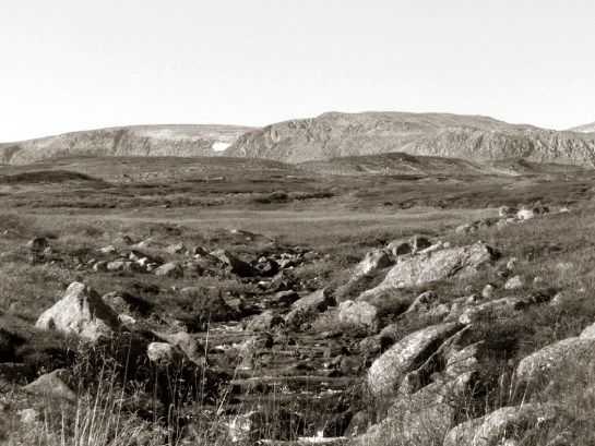 Hallingskarvet stream bw