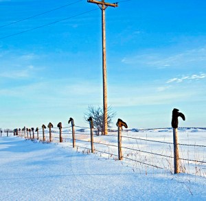 north dakota snow fence
