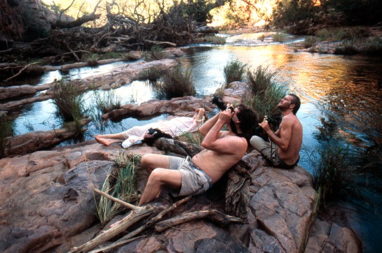 Watching the baboons