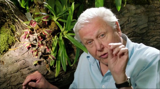 David Attenborough