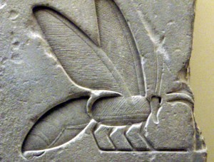 egyyptian bee