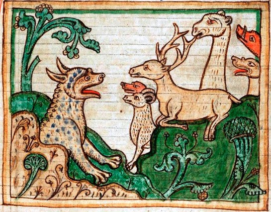 medieval animals copy