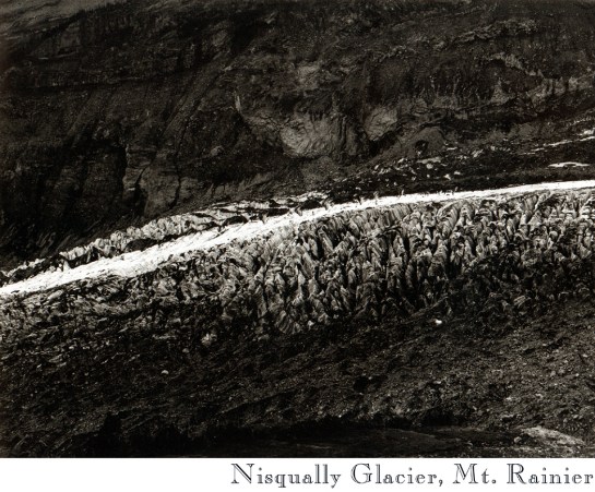 Nisqually Glacier
