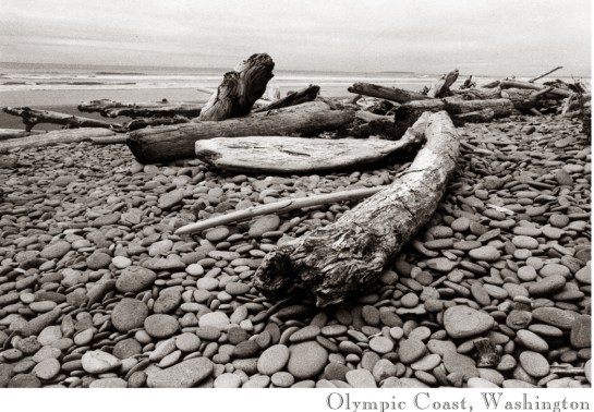 Olympic coast