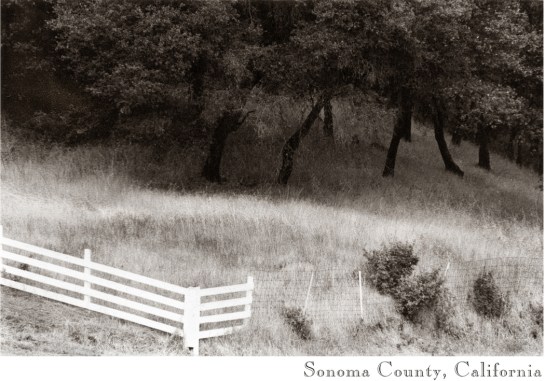 Sonoma Valley fence