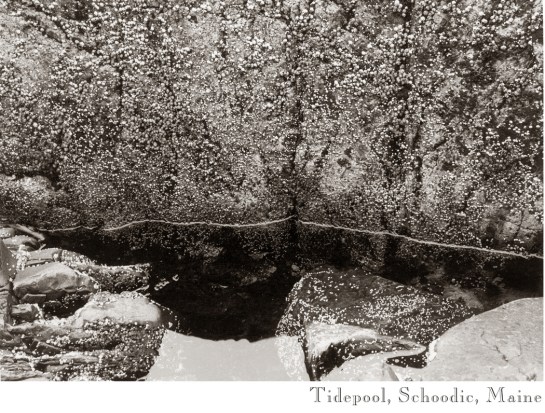 09 Tidepool maine