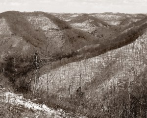 appalachian plateau BW cropped