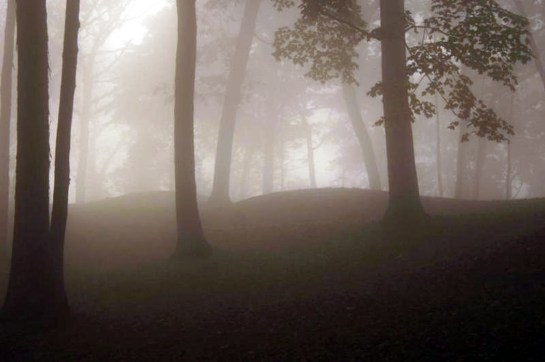 effigy mounds fog