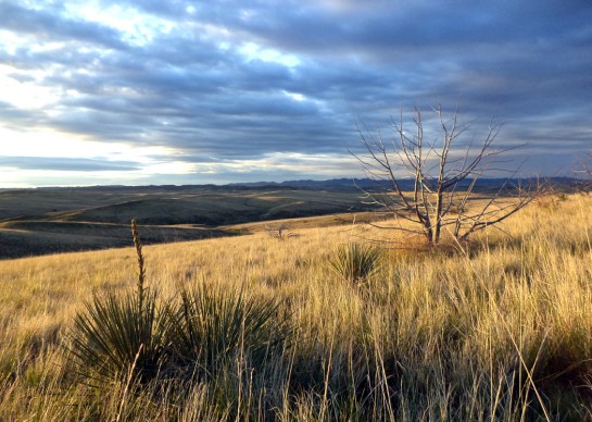 little bighorn evening
