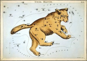ursa major