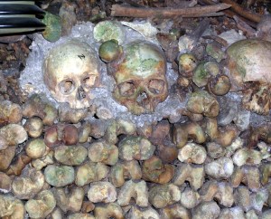 catacombs 2 - skulls