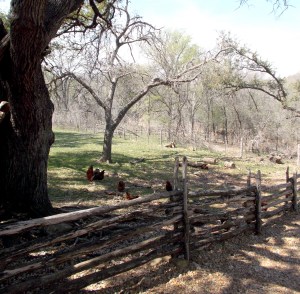 lbj ranch farmstead2
