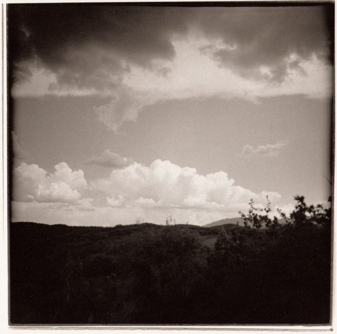 08 dark vista Organ Pipe Cactus NP Ariz