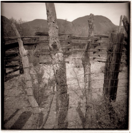 12 Wire fence Organ Pipe Cactus NP Ariz