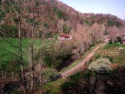 Ashe County road, creek &dogwoo