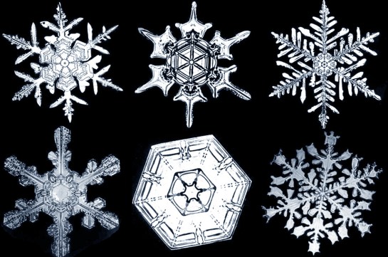 snowflakes