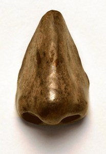 tycho nose