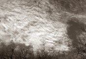 mackerel sky