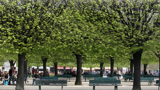 luxembourg garden horiz
