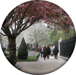 NDP church garden tondo