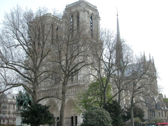 NDP through tree lace horiz