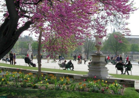 tuileries 5