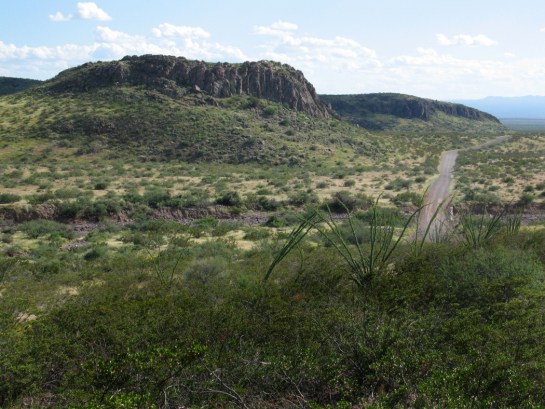 Black Hills Back Country Byway