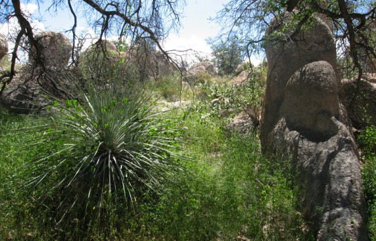Dragoon Spanish sword