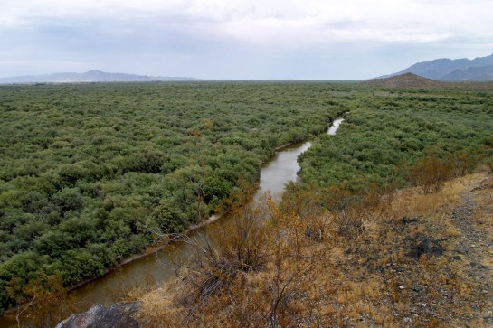 Gila River south of Phoenix