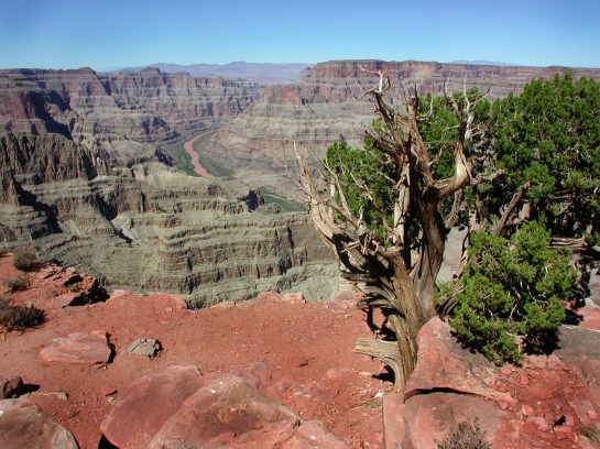 Grand Canyon West