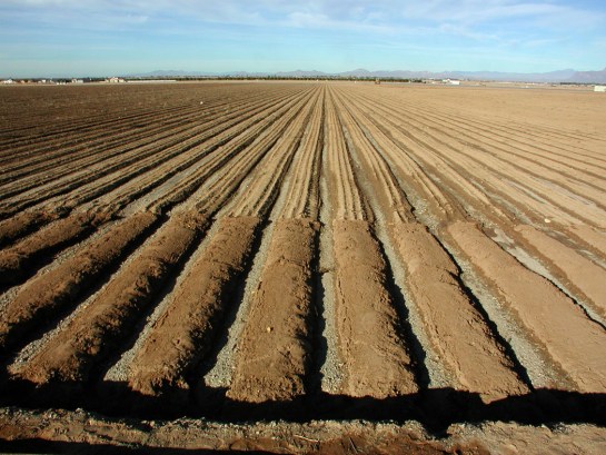 Irrigated farmland