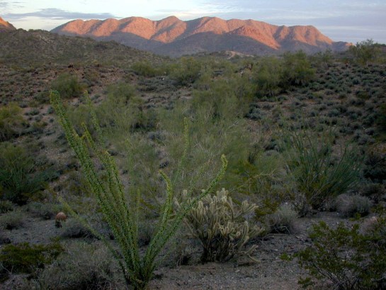 Hiking around North Mountain