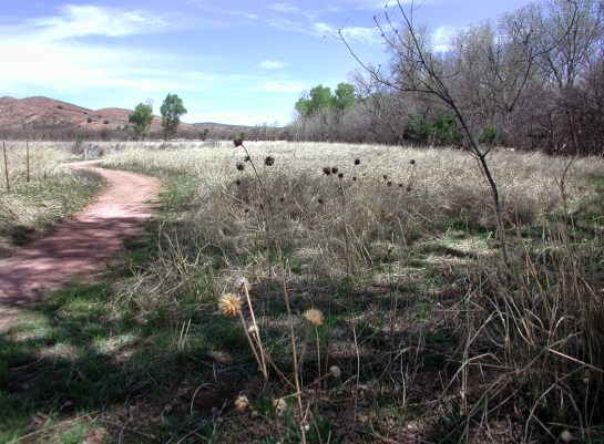 Patagonia Lake State Park