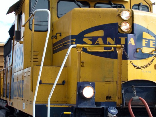 Phoenix Santa Fe close up