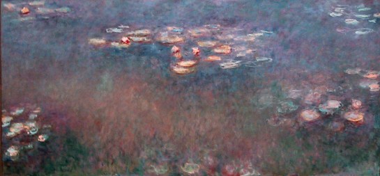 monet waterlilies st louis